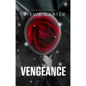 Vengeance: Stitch Up Book Four